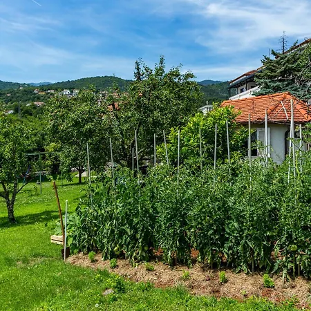 Villa Residence Icici Vendégház